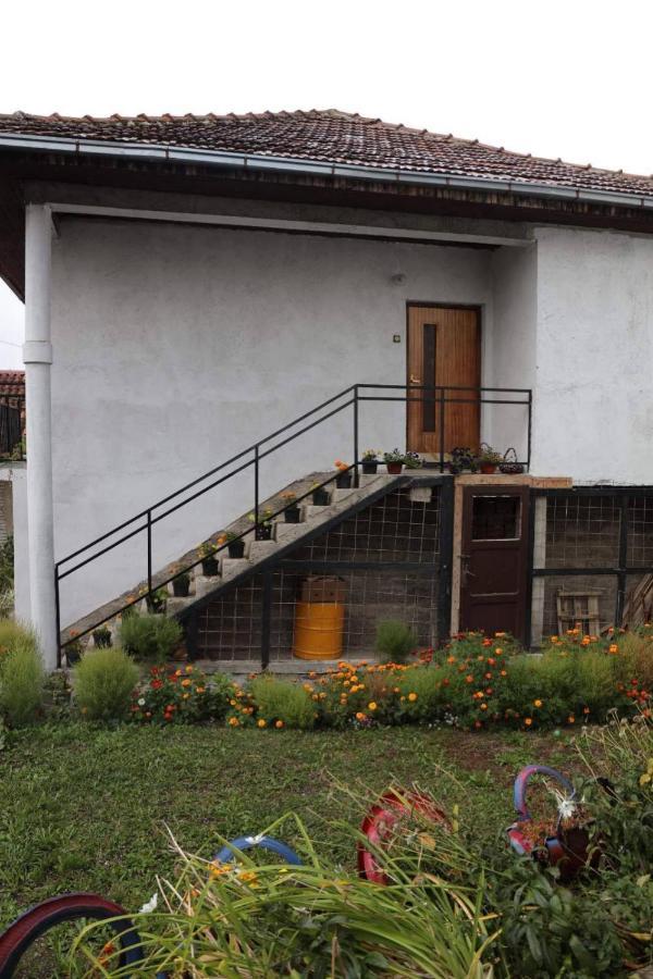 Smestaj U Novoj Varosi, Zlatar Apartamento Nova Varoš Exterior foto